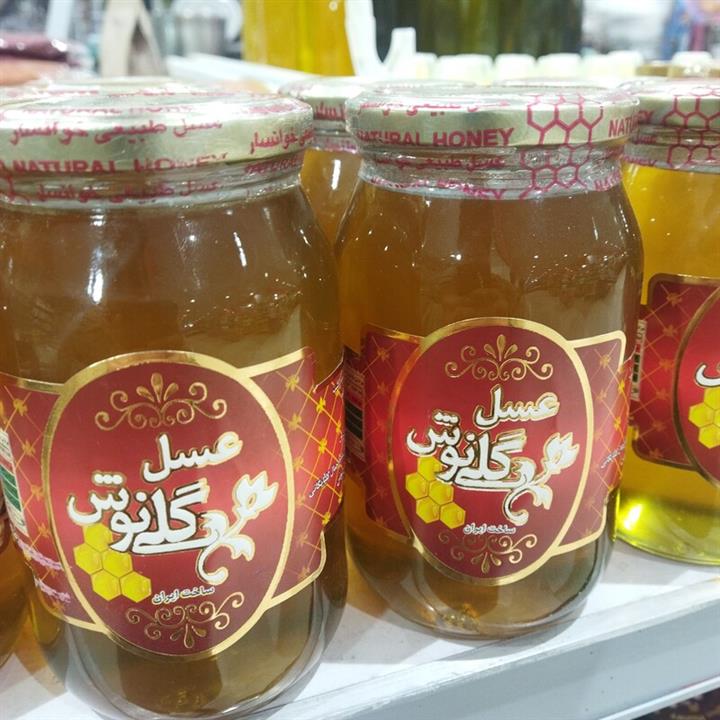 عسل اعلا 700 گرمی گلی نوش(اصفهان گلپایگان)